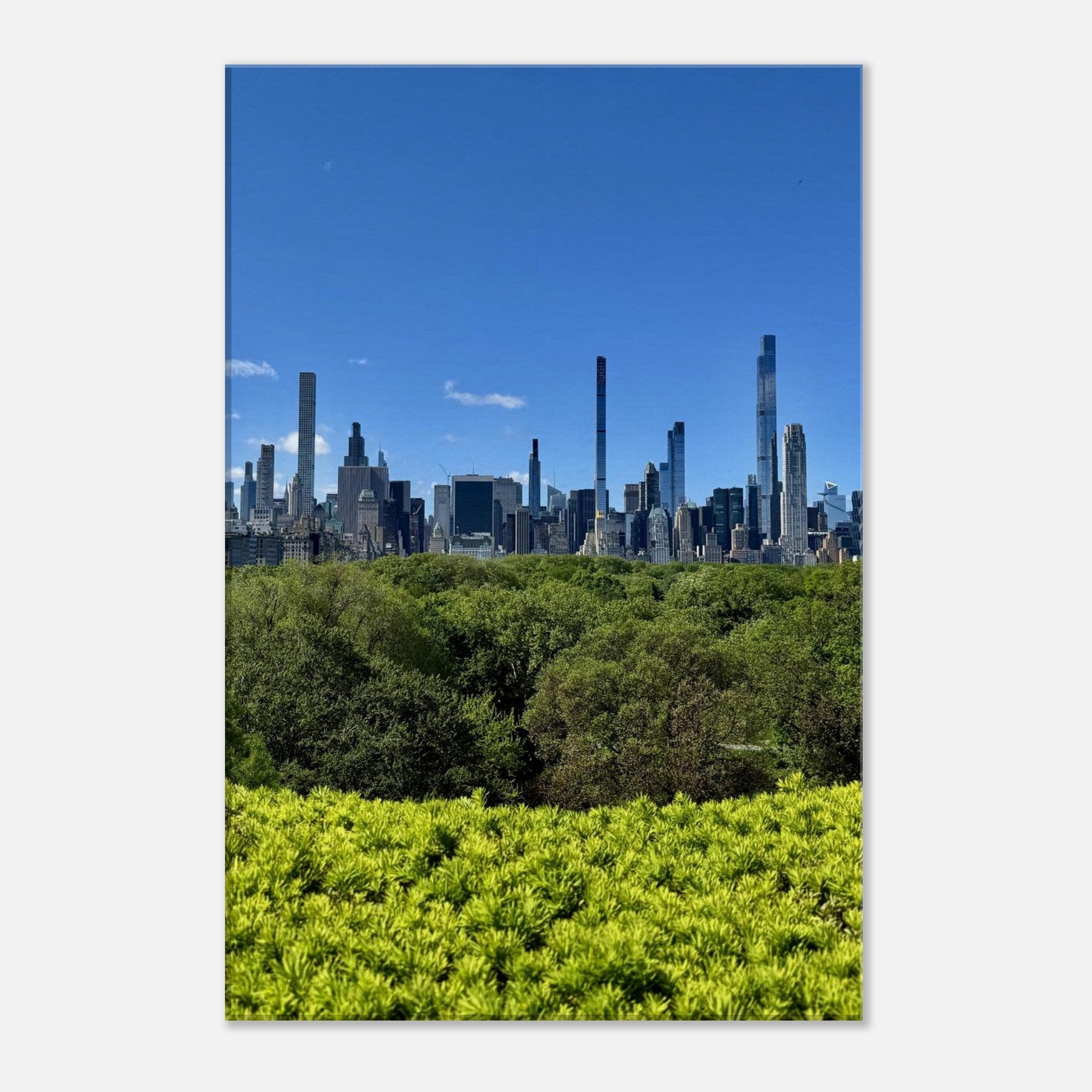 Stunning NYC Central Park Skyline Canvas Print - Spring Day Decor - Wall Art for Home & Office - CaliCuration