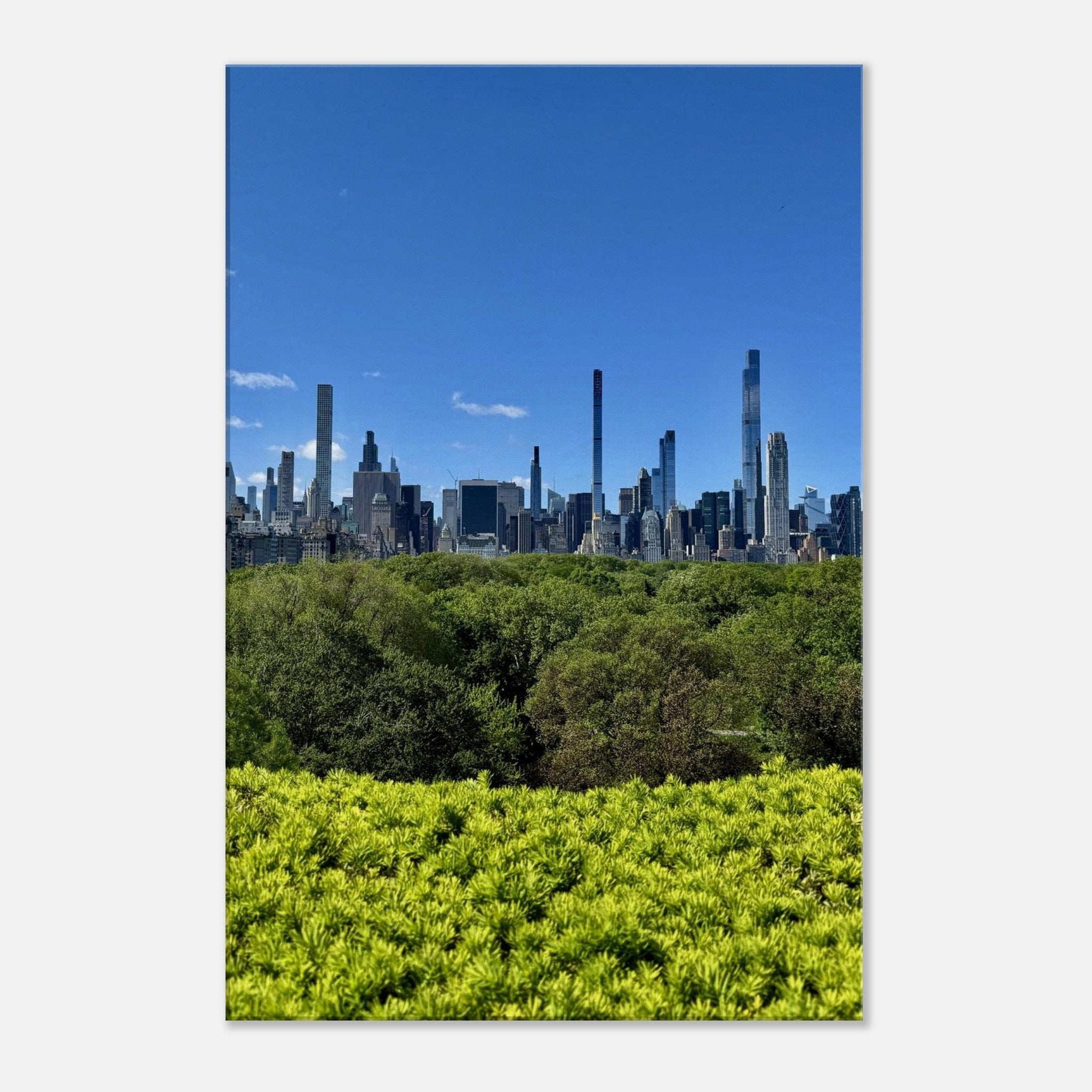 Stunning NYC Central Park Skyline Canvas Print - Spring Day Decor - Wall Art for Home & Office - CaliCuration