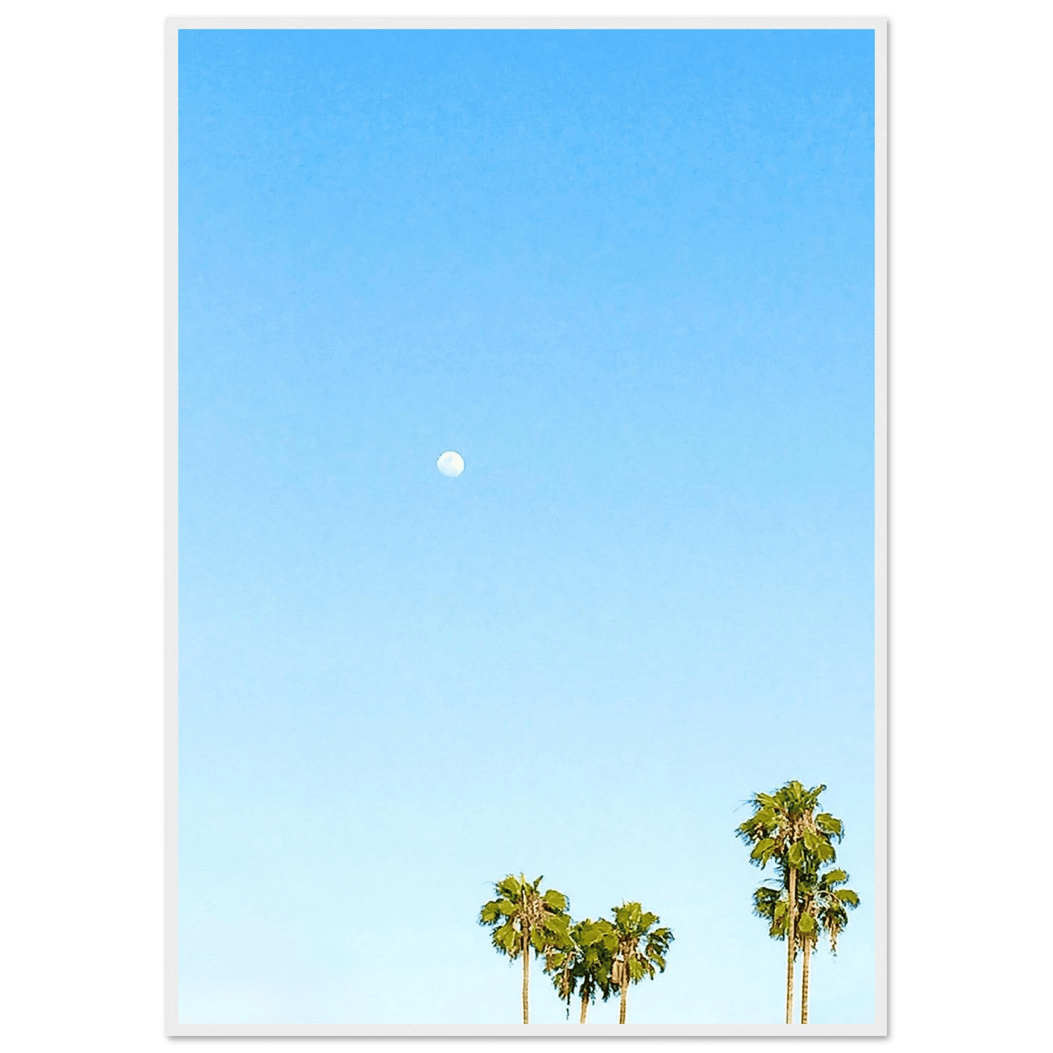 Palm Springs Day Moon & Palm Trees: California Poster Art - Studio Edition: Spring' 26 - CaliCuration