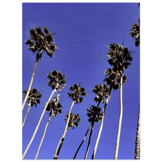 Palm Tree Colony Wooden Print - Santa Barbara Series | Rustic FSC - Certified Birch Art Decor. California Wooden Art: Studio Edition: Spring' 26 - CaliCuration