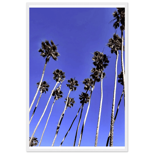 Southern California Palm Tree Family Wooden Framed Poster: California Poster Art, Studio Edition: Spring '26 - CaliCuration