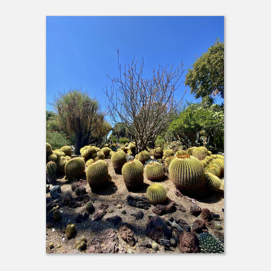 Sundrenched Cactus Hill Aluminum Print - Vibrant Nature Art for Your Home - CaliCuration