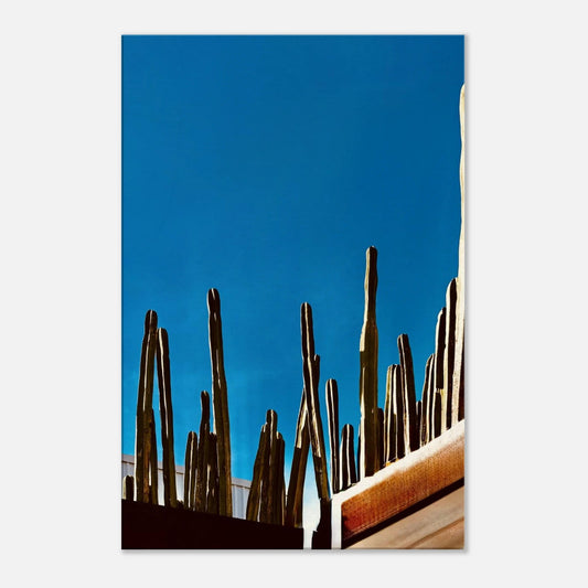 Unique Canvas from Travel Collection Studio Edition: Mexico – Cactus Family on Rooftop Artwork, Travel Collection - Studio Edition: Spring' 26 - Mexico - CaliCuration